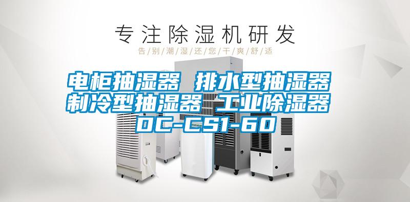 电柜抽湿器 排水型抽湿器 制冷型抽湿器 工业除湿器 DC-CS1-60