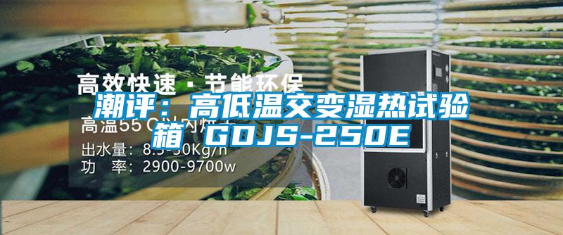 潮评：高低温交变湿热试验箱 GDJS-250E