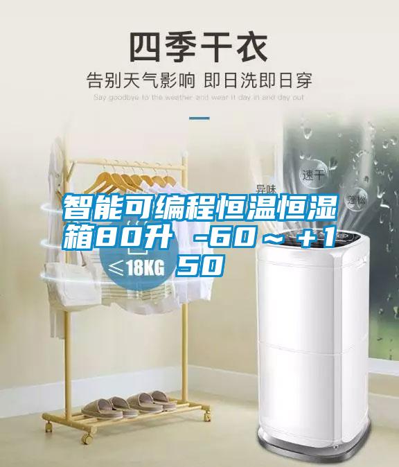 智能可编程恒温恒湿箱80升 -60～＋150℃