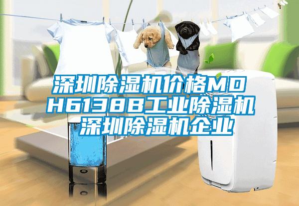 深圳除湿机价格MDH6138B工业除湿机 深圳除湿机企业