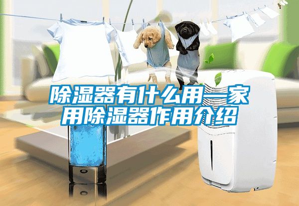 除湿器有什么用—家用除湿器作用介绍