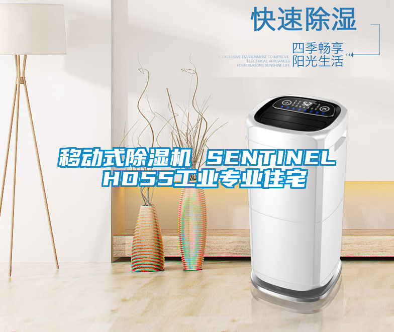 移动式除湿机 SENTINEL HD55工业专业住宅