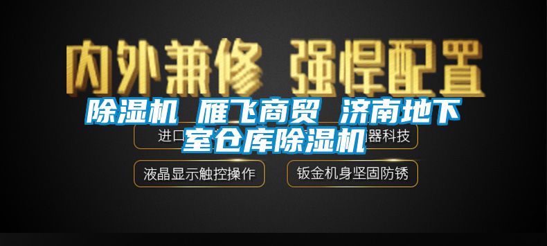 除湿机 雁飞商贸 济南地下室仓库除湿机