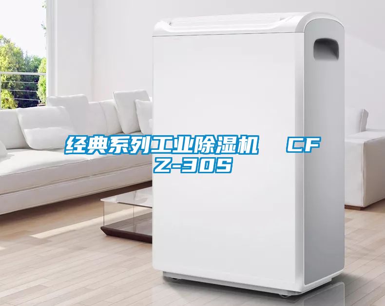 经典系列工业除湿机  CFZ-30S