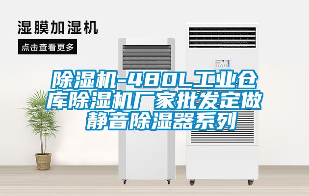 除湿机-480L工业仓库除湿机厂家批发定做 静音除湿器系列