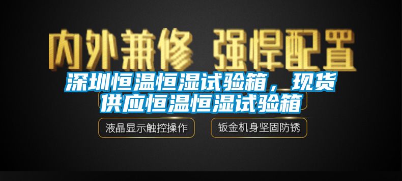 深圳恒温恒湿试验箱，现货供应恒温恒湿试验箱