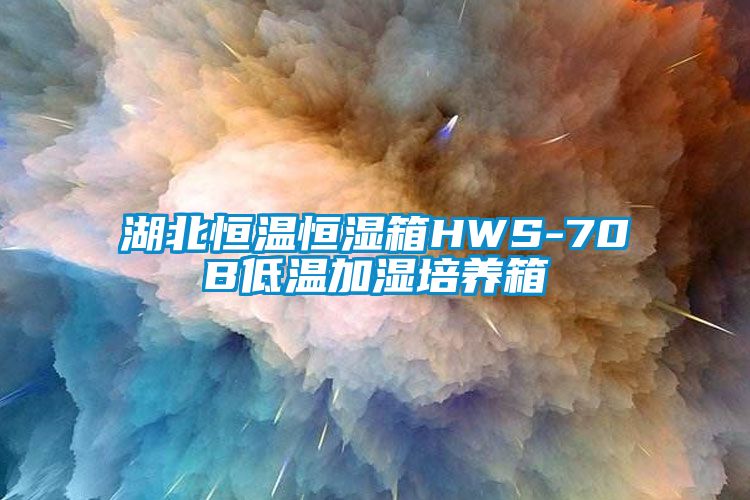 湖北恒温恒湿箱HWS-70B低温加湿培养箱