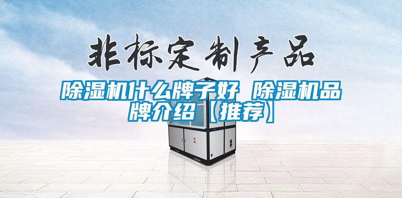 除湿机什么牌子好 除湿机品牌介绍【推荐】