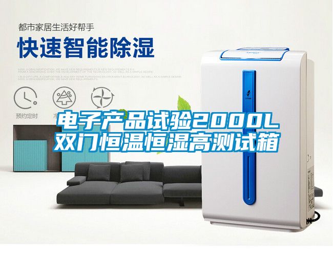 电子产品试验2000L双门恒温恒湿高测试箱