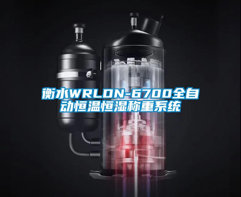 衡水WRLDN-6700全自动恒温恒湿称重系统