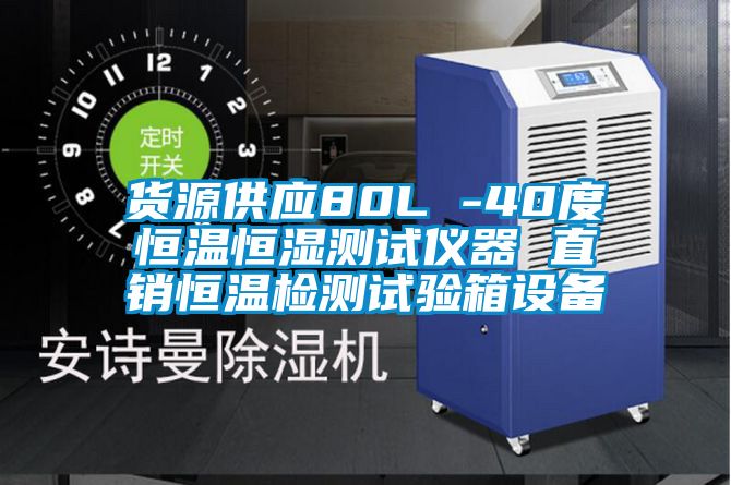 货源供应80L -40度恒温恒湿测试仪器 直销恒温检测试验箱设备