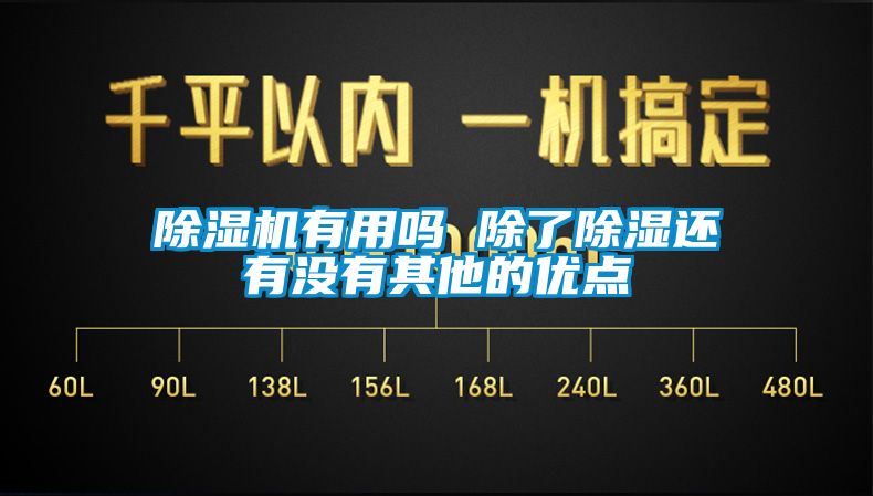 除湿机有用吗 除了除湿还有没有其他的优点