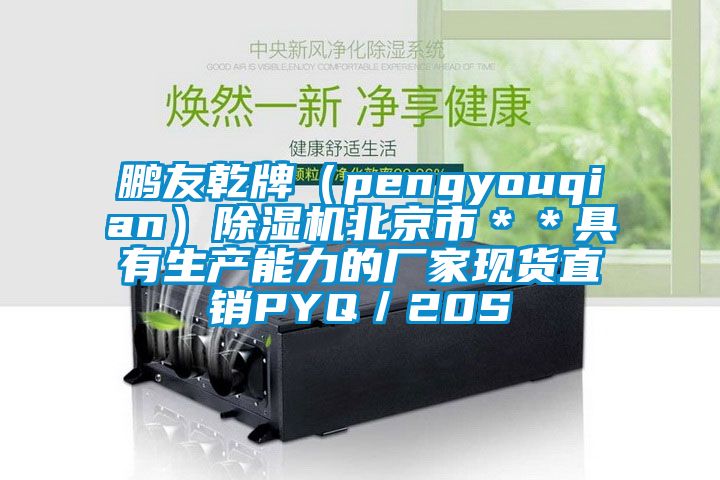 鹏友乾牌（pengyouqian）除湿机北京市＊＊具有生产能力的厂家现货直销PYQ／20S