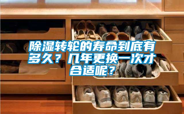 除湿转轮的寿命到底有多久？几年更换一次才合适呢？