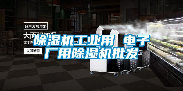 除湿机工业用 电子厂用除湿机批发