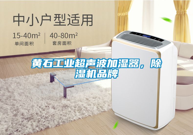 黄石工业超声波加湿器，除湿机品牌