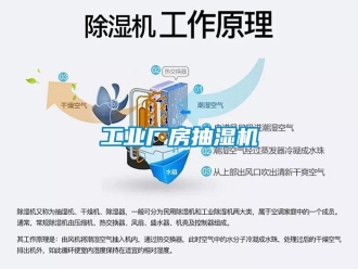 企业新闻工业厂房抽湿机