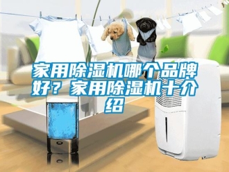 企业新闻家用除湿机哪个品牌好？家用除湿机十介绍